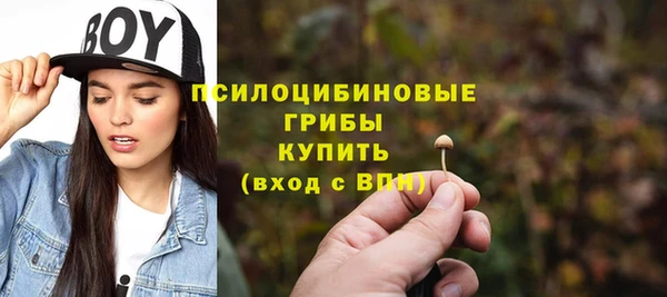 дживик Абинск