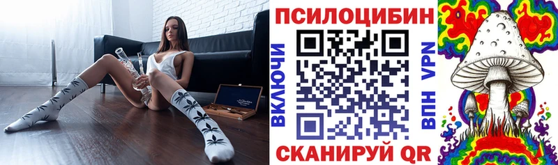 Галлюциногенные грибы MAGIC MUSHROOMS  Черемхово 